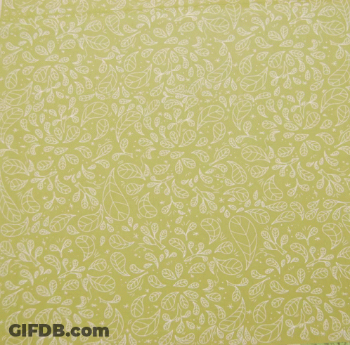 Ocellet Pardalet GIF