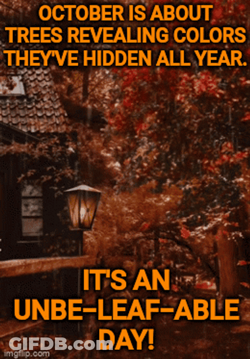 October Rainy Autumn Leaves Falling GIF