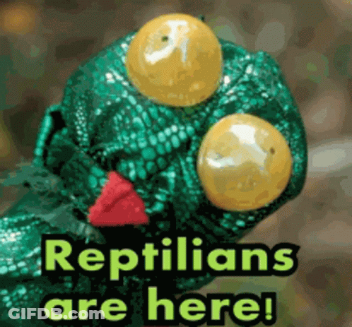 Octopus Laying On Sand Saying Edi Black GIF
