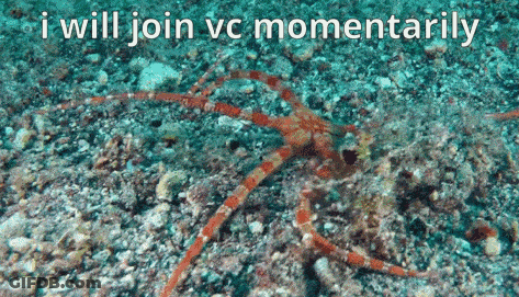 Octopus Saying I Will Join VC Momentarily GIF
