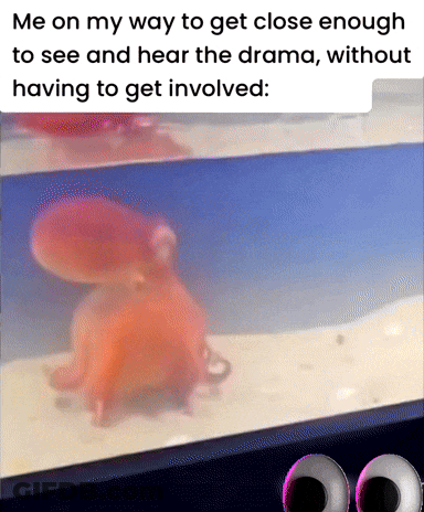 Octopus Swimming In Tank Saying Me On My Way To Get Close Enough GIF