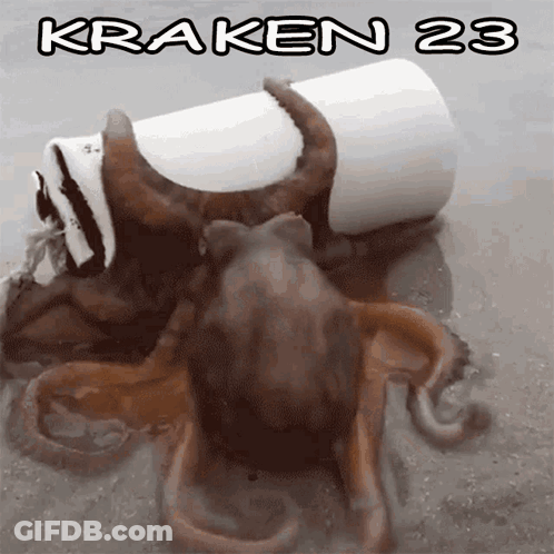 Octopus With Number 23 GIF