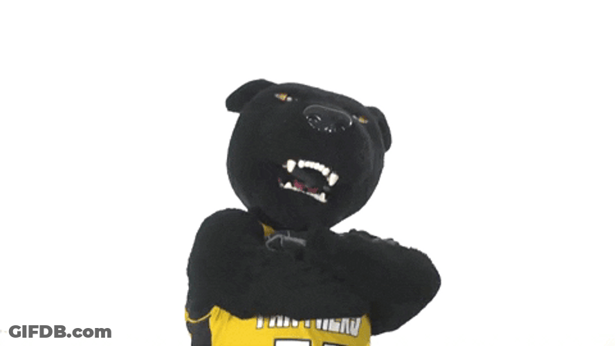 Odu Panthers Mascot GIF