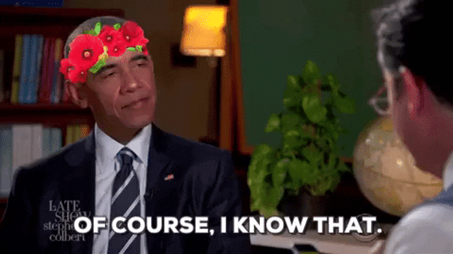 Ofcourse I Know That Barack Obama GIF