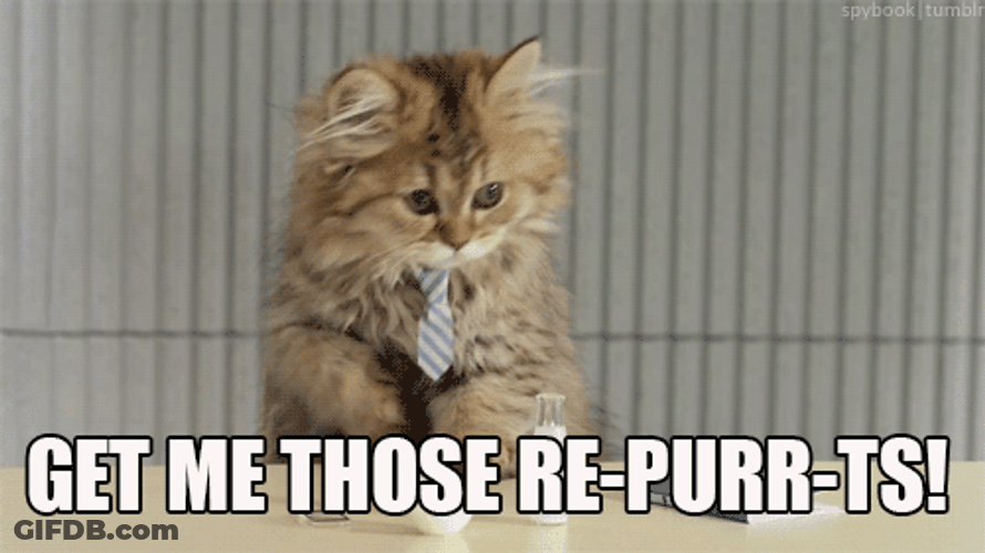 Office Cat Working Reports GIF
