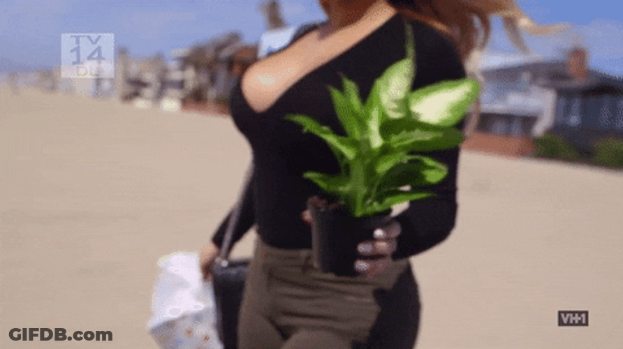 Office Girl Holding A Plant GIF