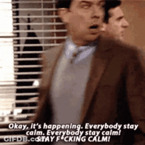 Office Series Stay Calm Freaking Out GIF