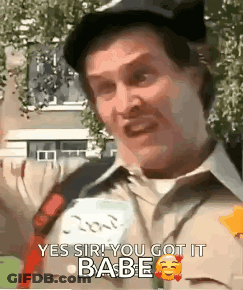 Officer Doofy Yes Sir You Got It Babe GIF