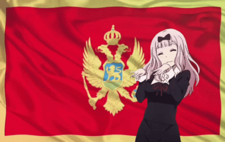 Ogasawara Rinko Montenegro GIF
