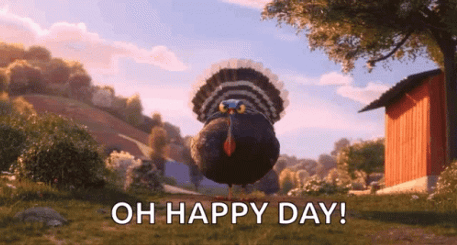 Oh Happy Day Yelling Peacock Cartoon GIF