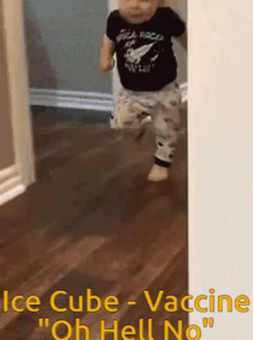 Oh Hell No Covid Meme GIF