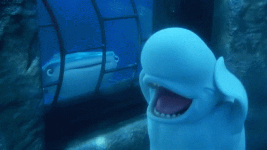 Oh Hell No Finding Dory GIF