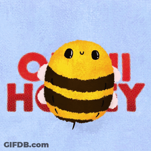 Oh Hi Honey Bee GIF