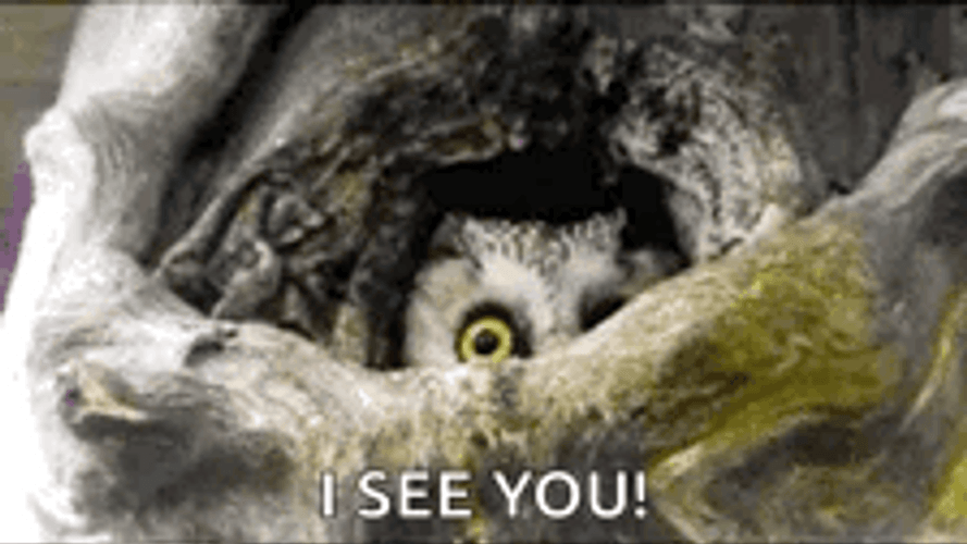 Oh Hi Mark I See You GIF