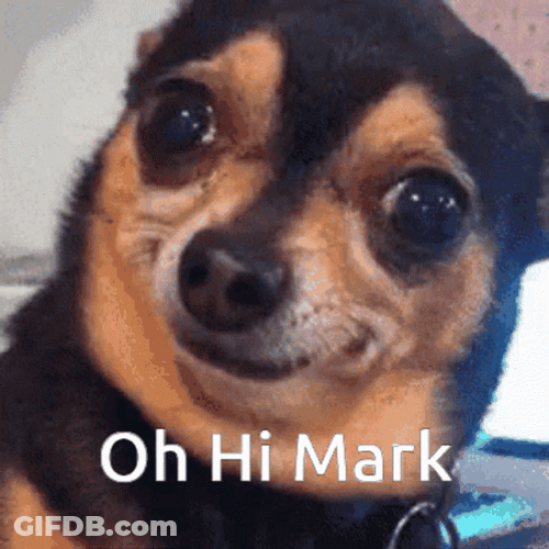 Oh Hi Mark My Dog GIF