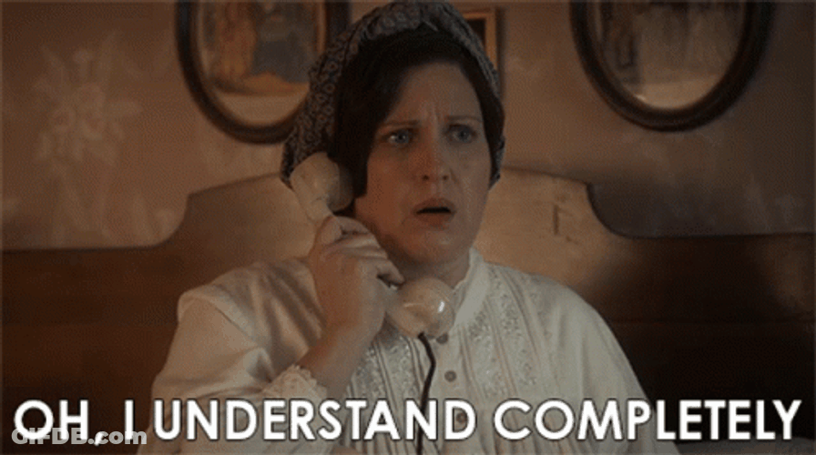 Oh I Understand Completely Allison Tolman GIF