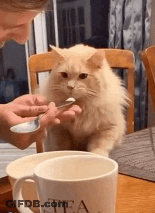 Oh It's So Bad Sniff GIF