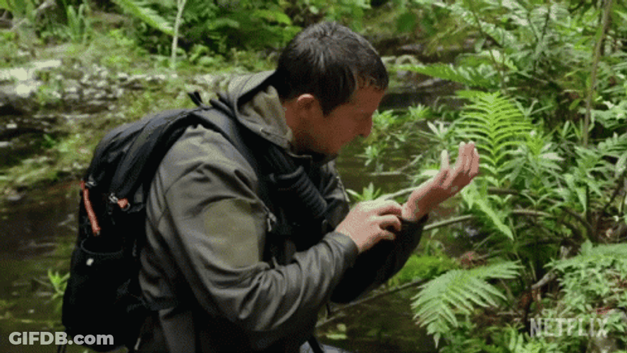 Oh Its A Leech GIF