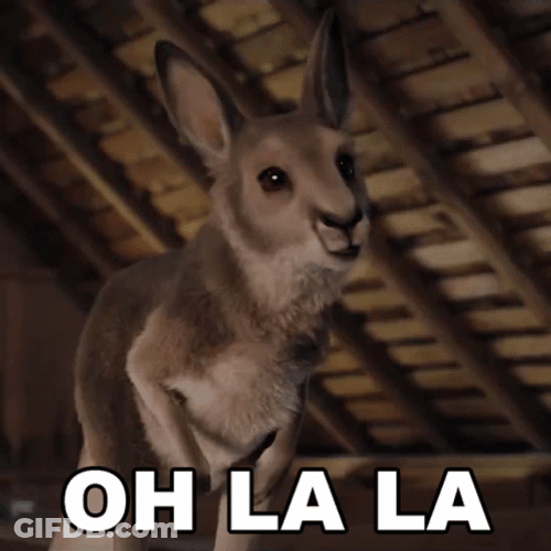 Oh Lalala Weird And Creepy Wallaby GIF