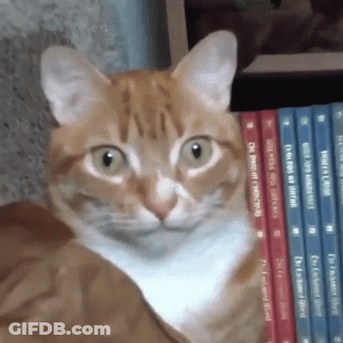 Oh Lord GIF