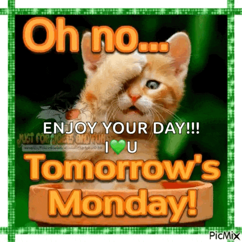 Oh No Monday GIF