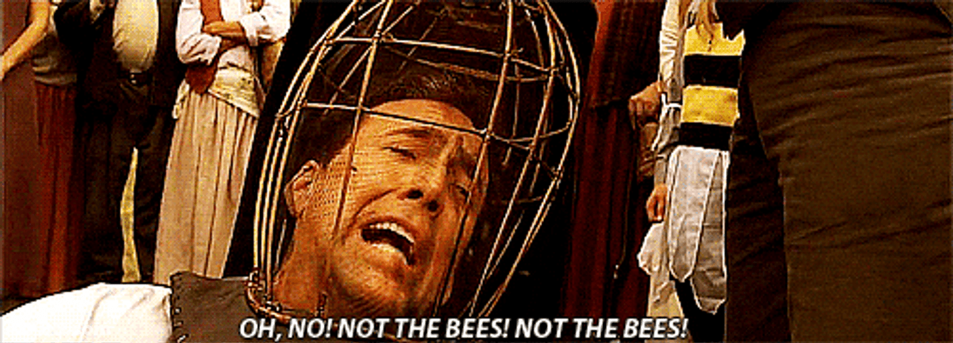 Oh No Not The Bees GIF