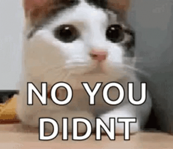 Oh No You Didn't Cat Head Shake GIF