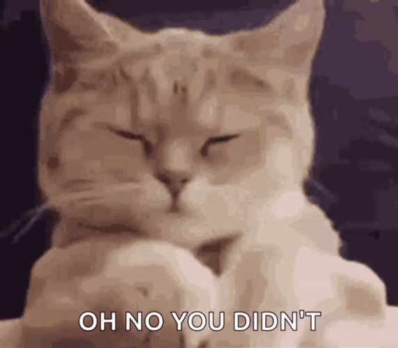 Oh No You Didn't Cat Wink Eyes GIF