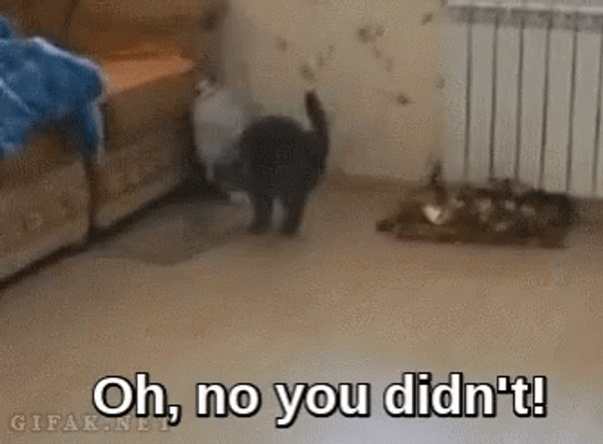 Oh No You Didn't Kinkalow GIF