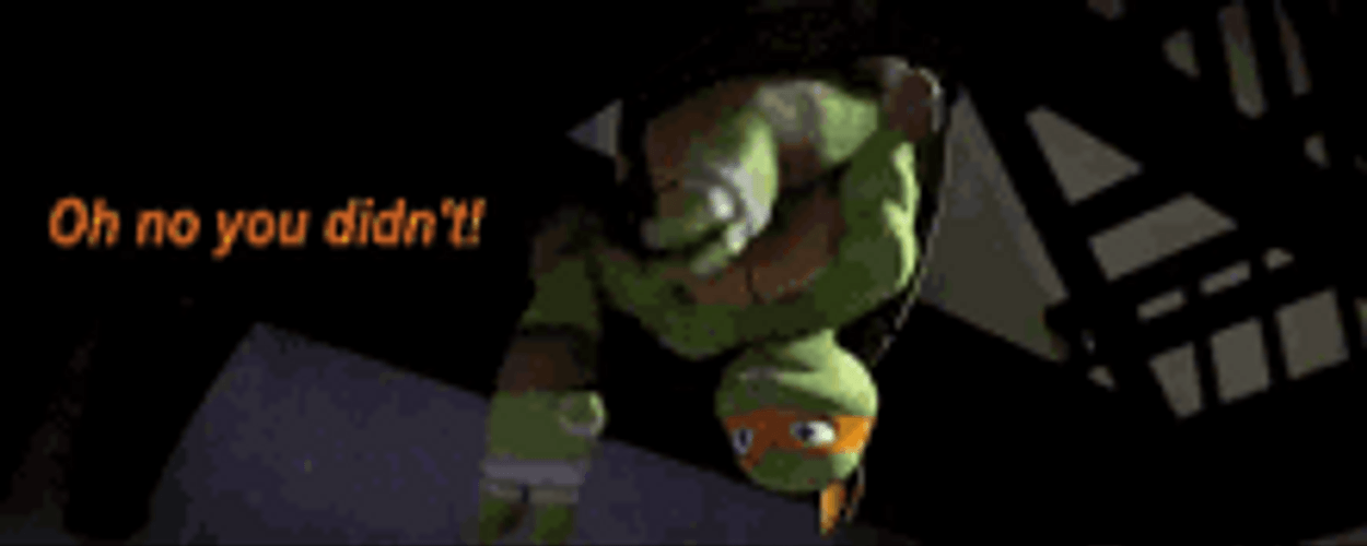 Oh No You Didn't Michelangelo Ninja Turtles GIF