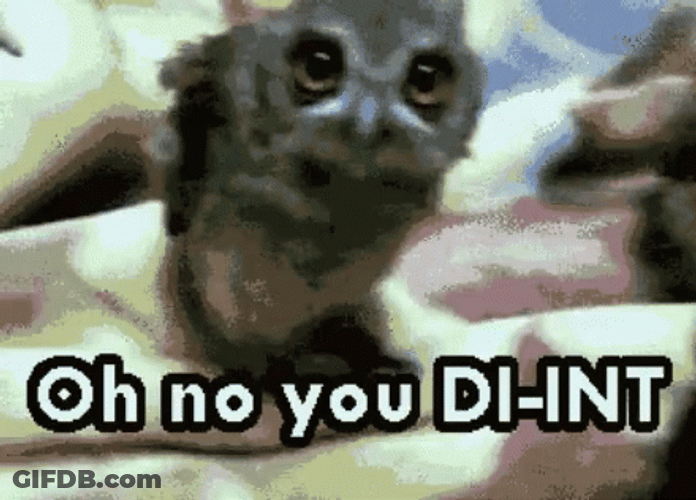 Oh No You Didn't Owl Head Shake GIF