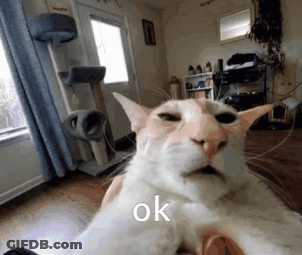 Oh Ok GIF