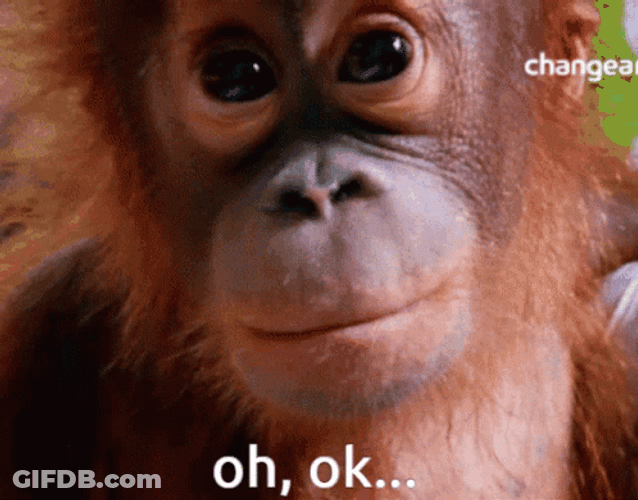Oh Ok GIF