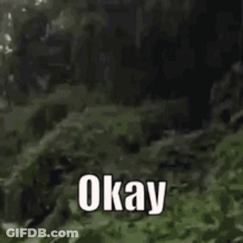 Oh Ok GIF