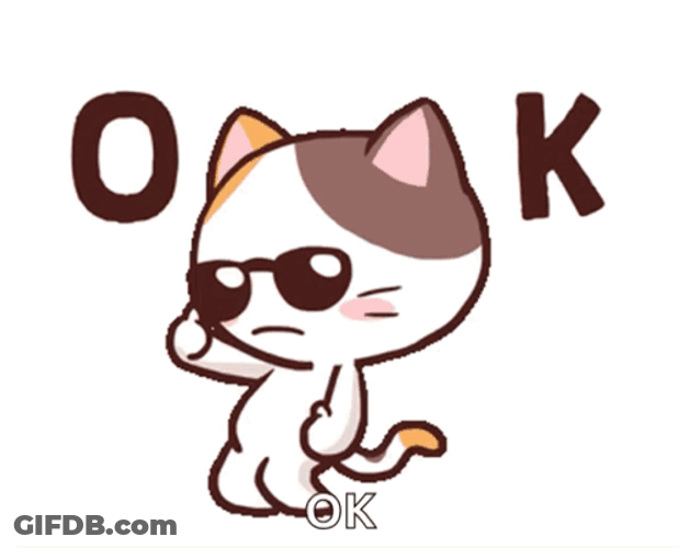 Oh Okay Dancing Cat GIF