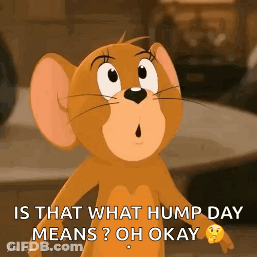 Oh Okay Jerry The Mouse GIF