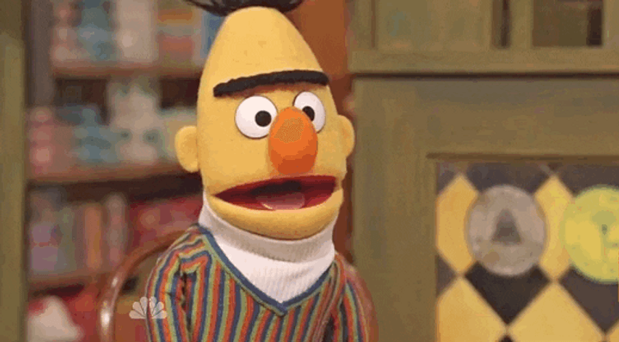 Oh Really Bert Sesame Street GIF