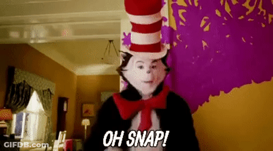 Oh Snap The Cat GIF