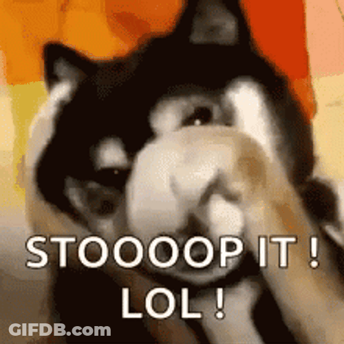 Oh Stop It Wolf Dog GIF