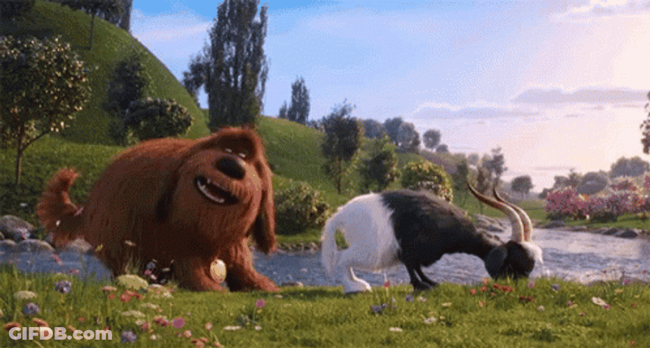 Oh That Butt Sniff GIF