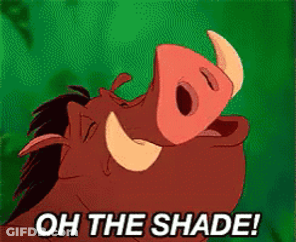 Oh The Shade Pumbaa GIF