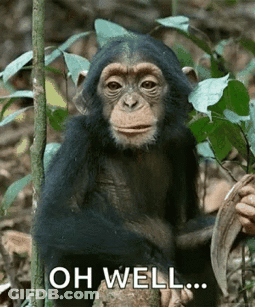 Oh Well Monkey Eating GIF