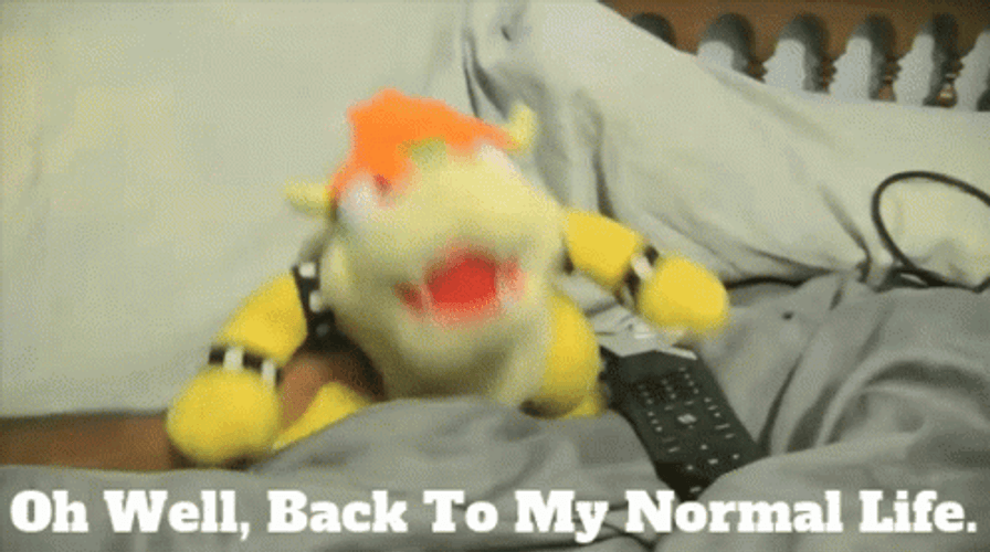 Oh Well Rhino Toy GIF