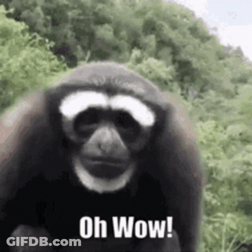 Oh Wow Monkey GIF