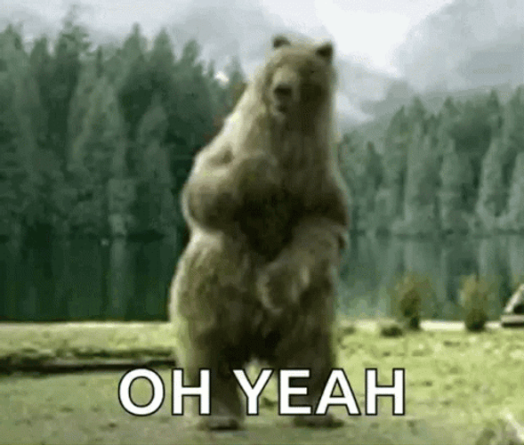 Oh Yeah Dancing Bear GIF