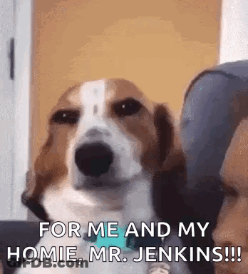 Oh Yeah Oh Hell Yeah GIF