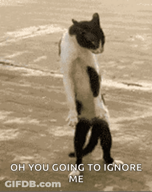 Oh You Ignoring Me GIF