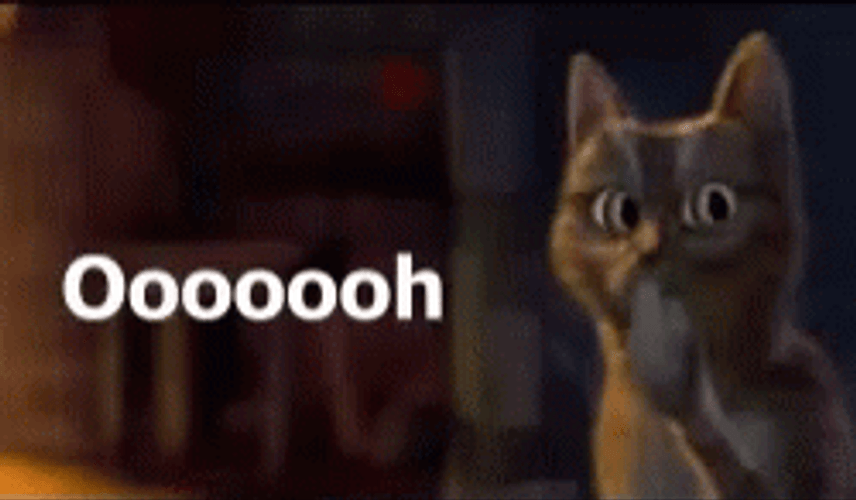 Ohhhh Startled Cat Looking Around Meme GIF