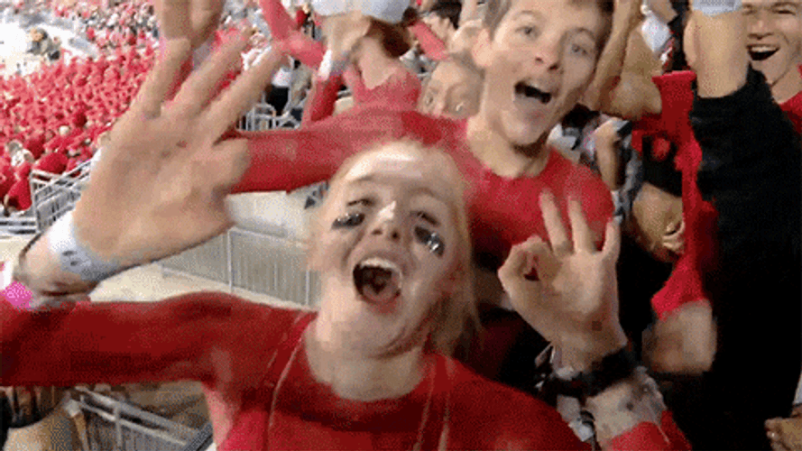 Ohio Meme Fans Are Happy GIF