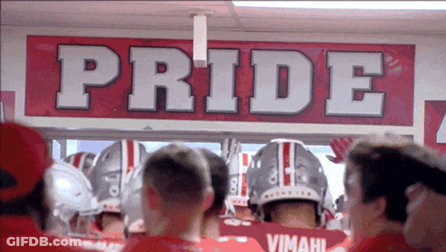 Ohio Meme Pride GIF